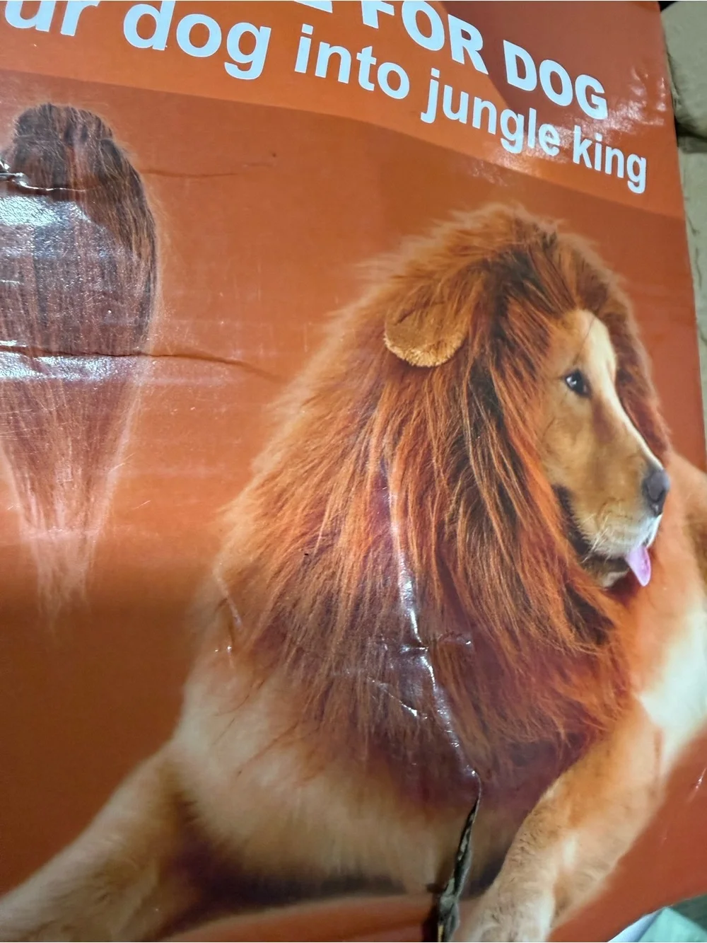 Dog Lion Mane Costume - Brown